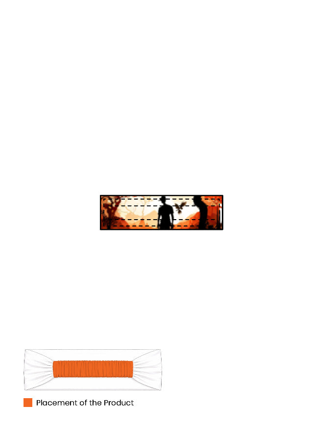 Back_2_c_17.jpg